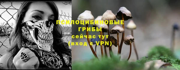 спайс Нязепетровск