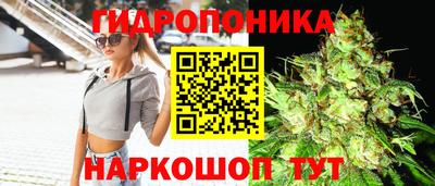 гашиш Кандалакша