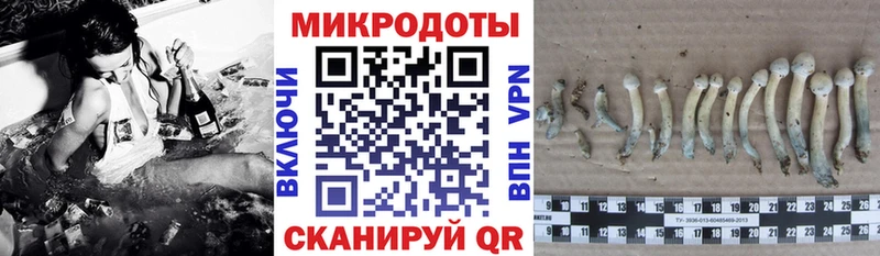 закладка Новотроицк Галлюциногенные грибы мицелий
