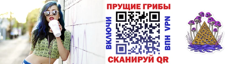 Псилоцибиновые грибы Cubensis Новотроицк
